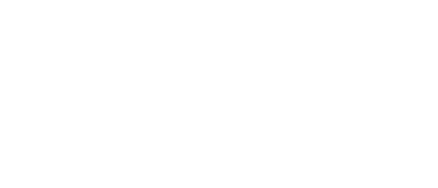 Gi Group Holding